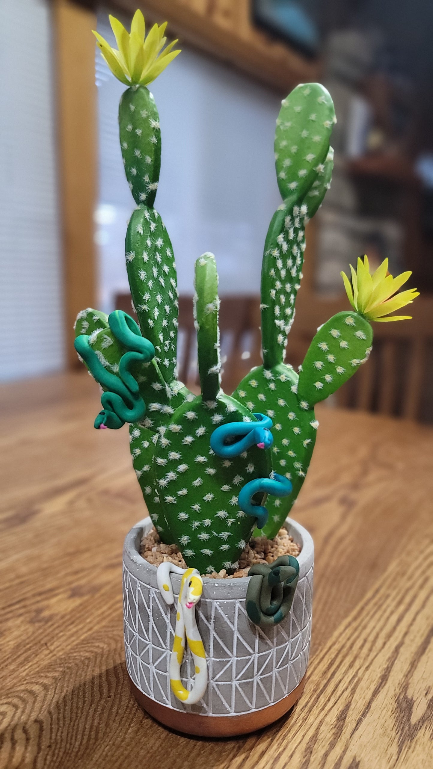 Fun houseplant decor