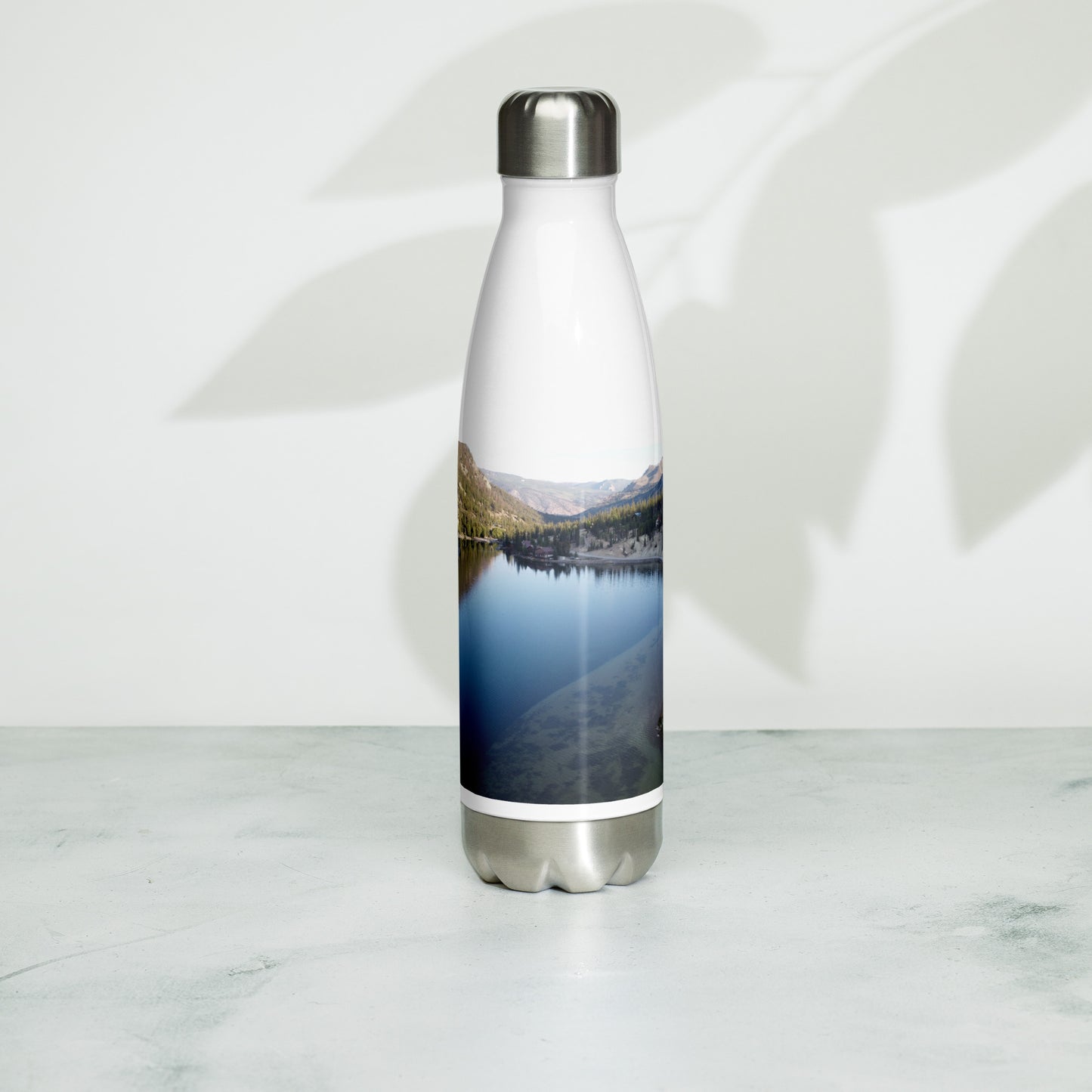 Stainless steel water bottle