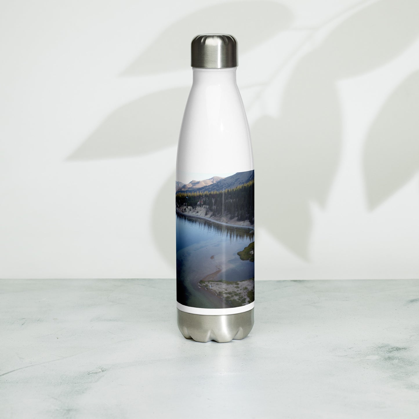 Stainless steel water bottle