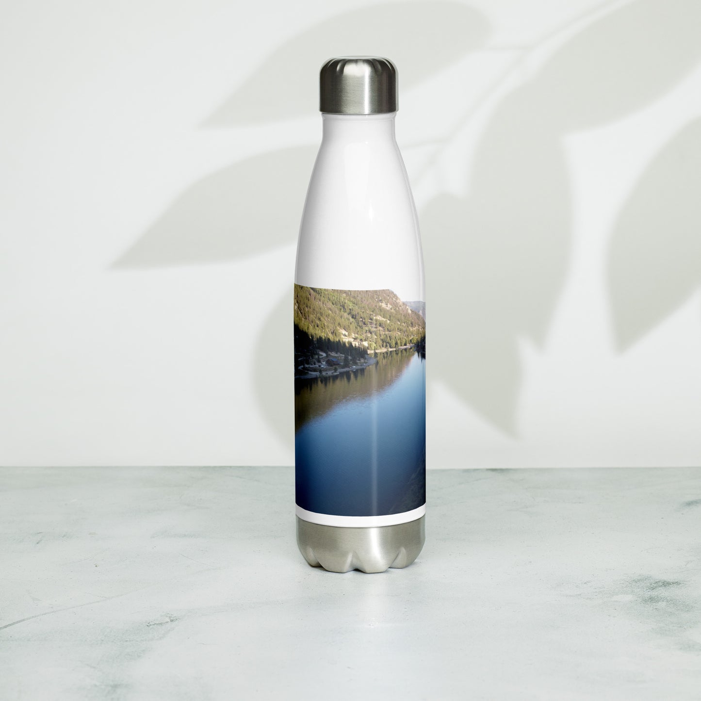 Stainless steel water bottle